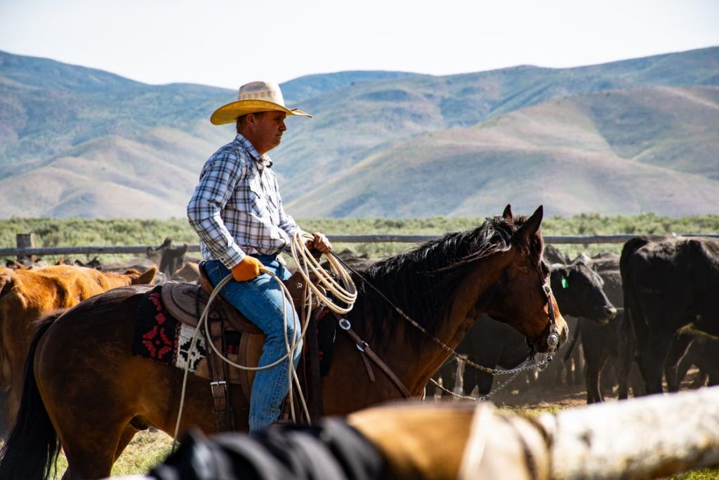 A man rides a horse in Texas, with mountains in the background.