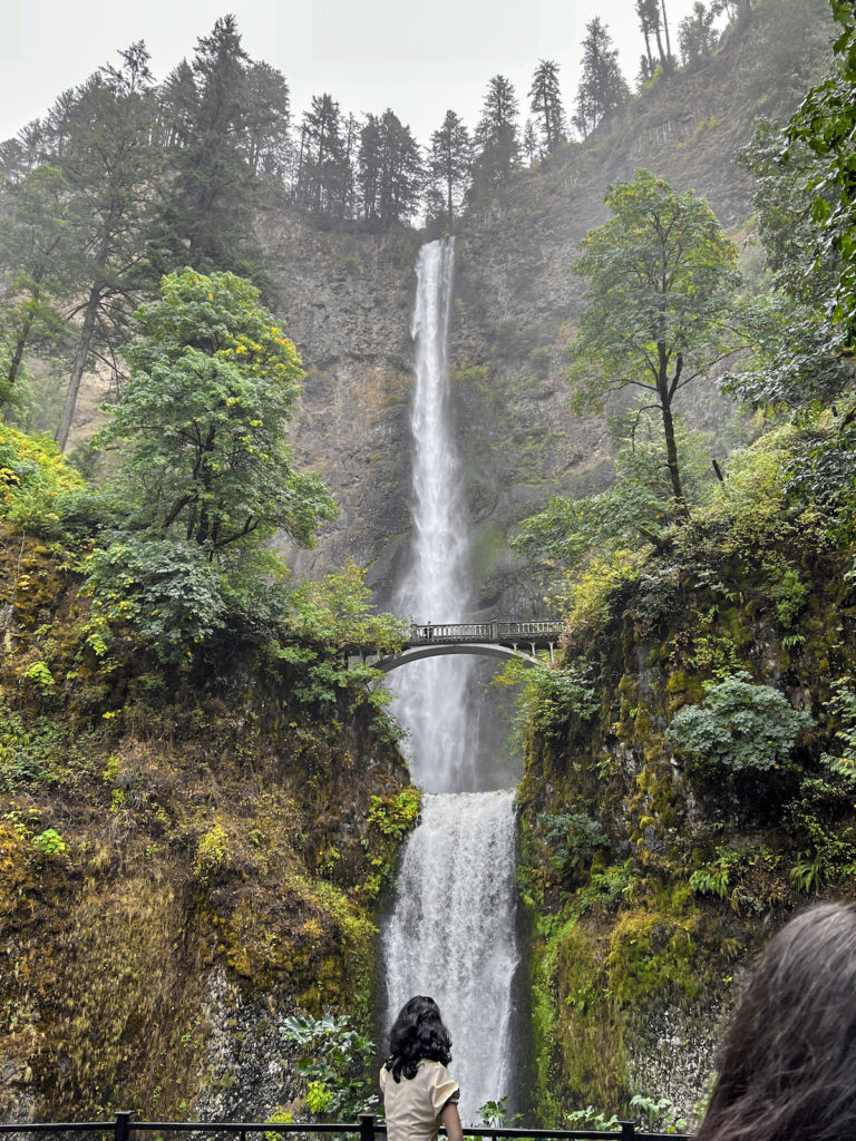 Multnomah Falls are around a 45-minute drive from Portland.