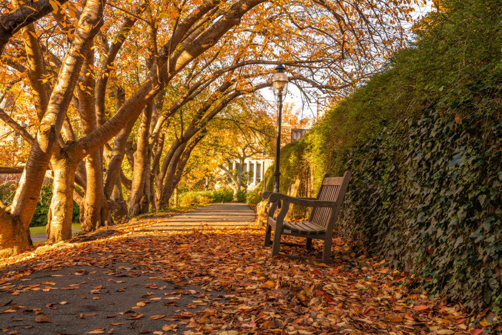 Stunning Princeton, New Jersey in the fall