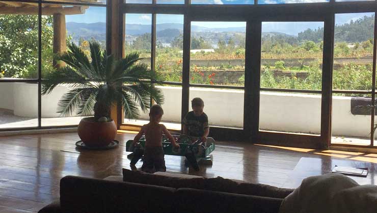 The little ones enjoyed a room with a view while on vacation.